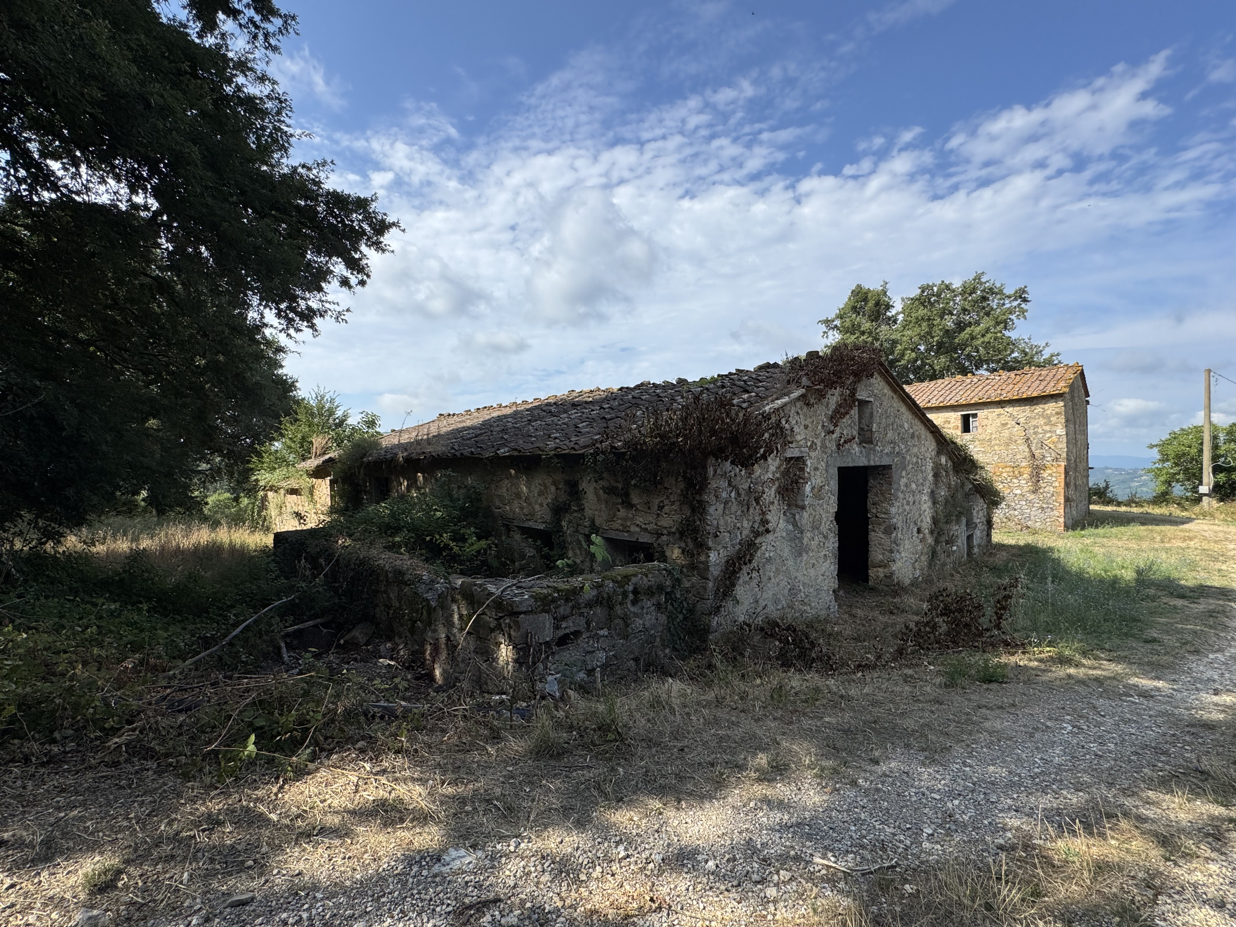 rif12. - PODERE SERAGALLI